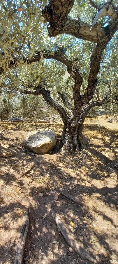 The Byzantine Wall House Istmia Exterior foto